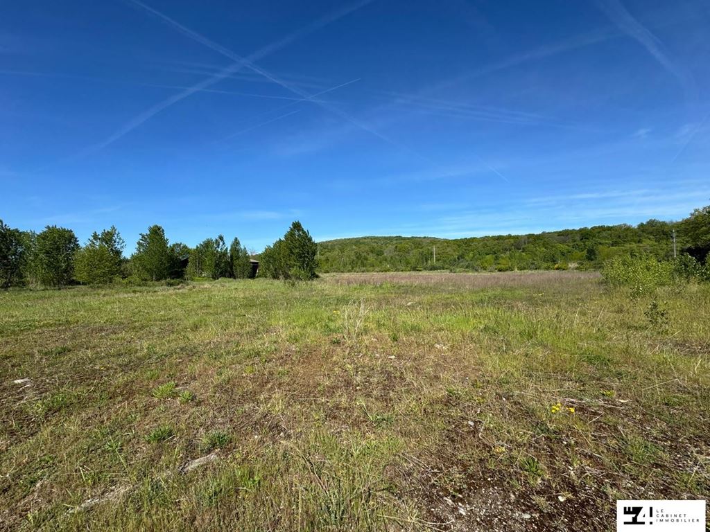 Terrain 36 856 m² à Martres-Tolosane
